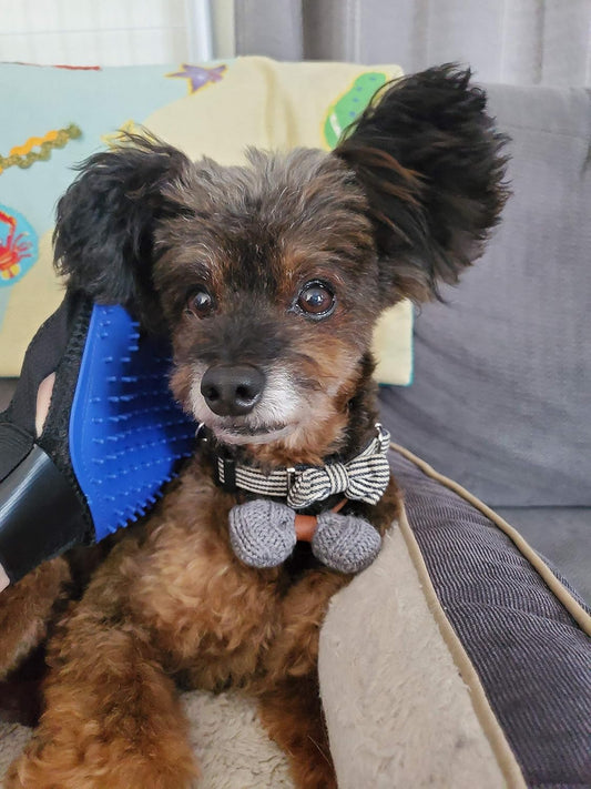 Guante de Aseo y Masaje 2 en 1 para Mascotas