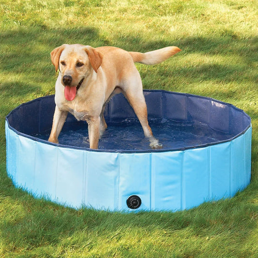 Piscina Plegable Portátil para Mascotas