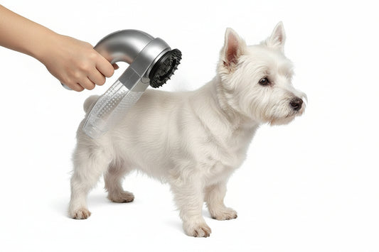 Aspiradora Portátil y Masajeador para Recolección de Pelo de Mascotas