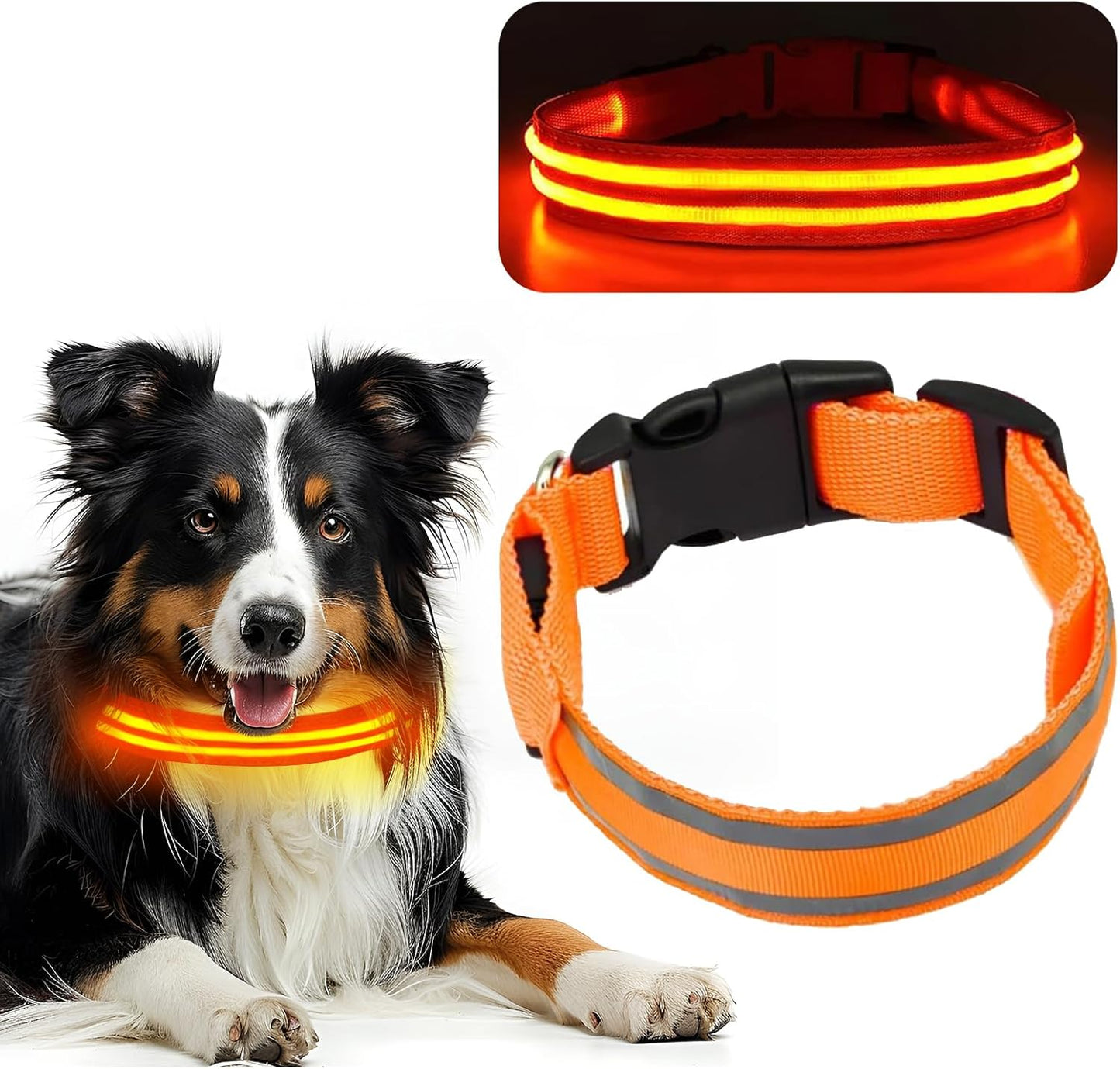 Collar LED de Seguridad Ultra Brillante y Recargable para Perros