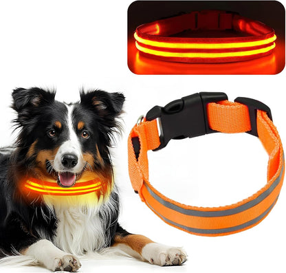 Collar LED de Seguridad Ultra Brillante y Recargable para Perros